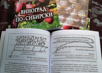 Садоводам! Книга выращивание винограда в Сибири и средней полосе России.