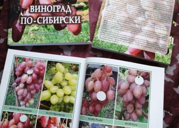 Садоводам! Книга выращивание винограда в Сибири и средней полосе России.