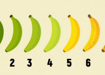 Генератор этилена GR01 для газации бананов, манго, авокадо