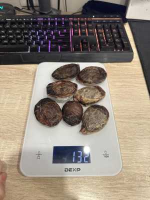 ����� ������� ������ �����