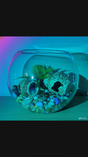 Аквариум новый набор