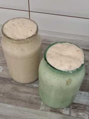 Пшеничная закваска