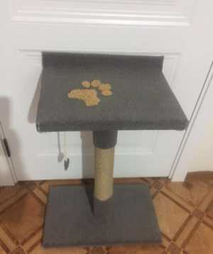 Товары для животных