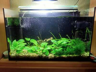 Аквариум 140л