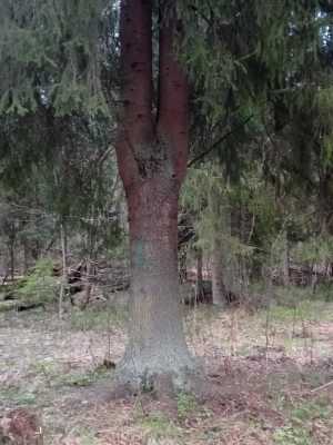 ��� 101 �2