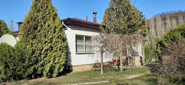 3х квартирный дом + бизнес на 70 сотках Геленджик