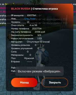 Продам Аккаунт в блек раша 13лвл