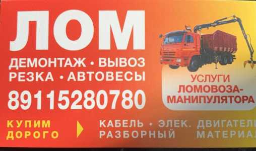 Покупаю любой вид лома(ЛЧМ,ЛЦМ,РЭЛ,РЗМ)