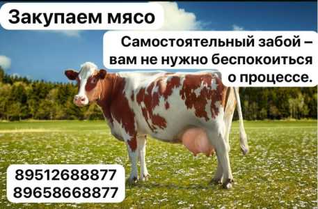 ЗАКУПАЕМ МЯСО ДОРОГО