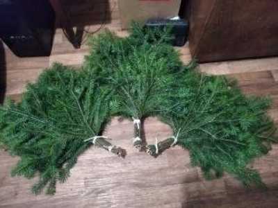 Веники пихтовые