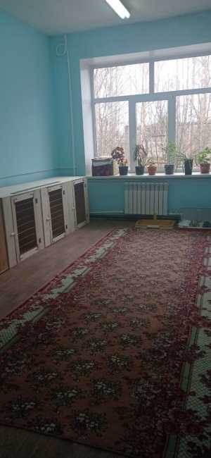 Стрижка (груминг)собак,кошек,зоогостиница "СИМОНА"