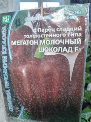 Рассада