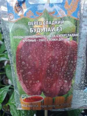 Рассада