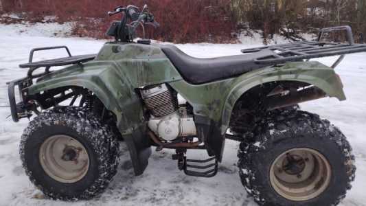 Квадроцикл patron country 250