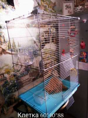 Клетка для птиц