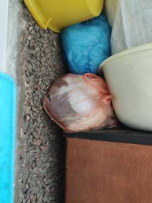 Пряжа пакетами и спицы