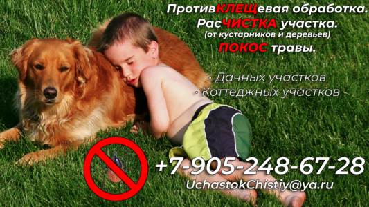 Покос травы. Обработка участка от клещей