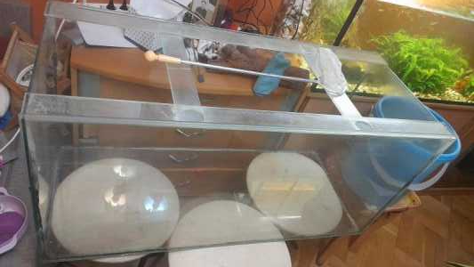 Аквариум на 200 л со светильником