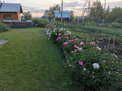 ���� 50 �2
