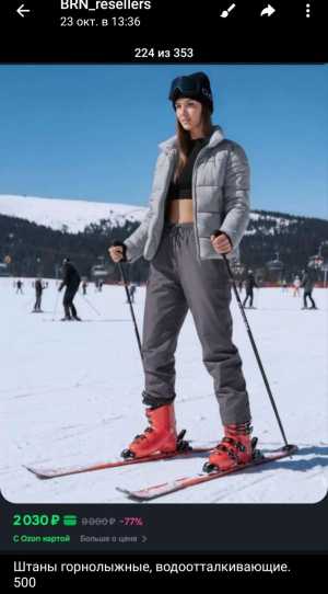 Горнолыжные шт