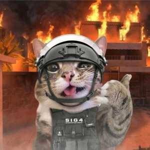 Продаю логотипы оплата переводом