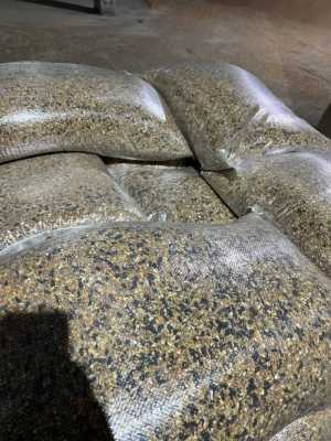 Зерно оптом