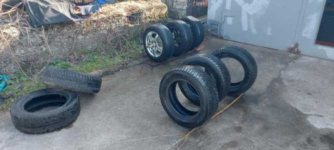 ������ ������