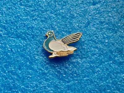 фауна - Урюпинский голубь - птица