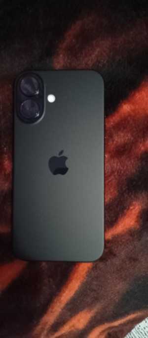 ����� 16 ����