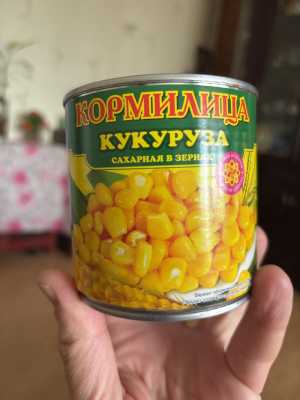 �������� ������ � �������� ���