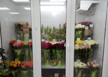 Продается холодольник