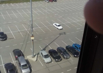 Благоустройство,ремонт дорог,укладка асфальта