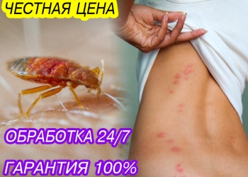 Услуги дезинсекции. Уничтожение клопов,тараканов.