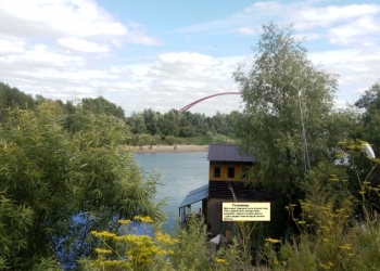 Гостиница для кошек