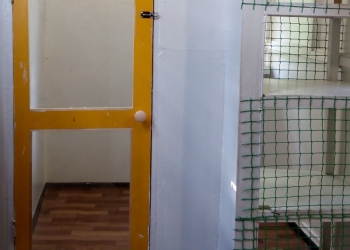 Гостиница для кошек
