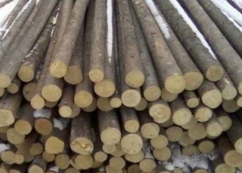 Куплю тонкомер любых пород