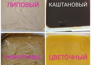 МЁД И ПЧЕЛОПРОДУКТЫ