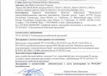 Декларация Соответствия ТС