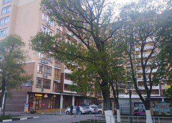 1-к квартира, 51 м2, 4/11 эт.