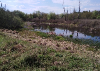 Земля