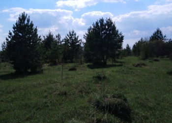 Земля