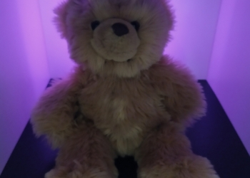 Плюшевый мишка