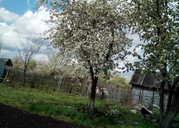 Самарская область, Волжский район, массив южная часть Новокуйбышевска Пригородны