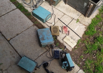 Рация пальма