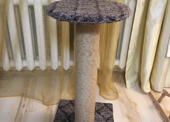 Когтеточка