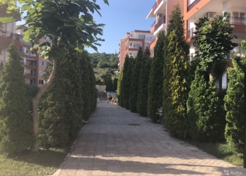 3-х комнатные апартаменты в Болгарии