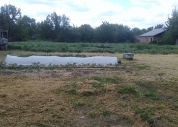 Продам Дом 33 м2