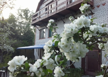  200 2     