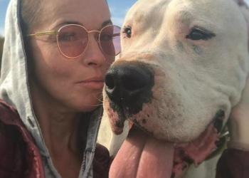 Аргентинский дог