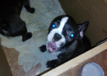 мальчик и девочка